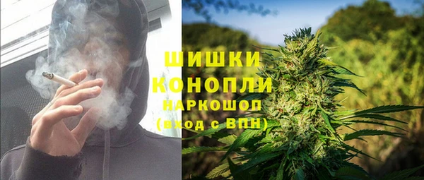 сатива Абинск