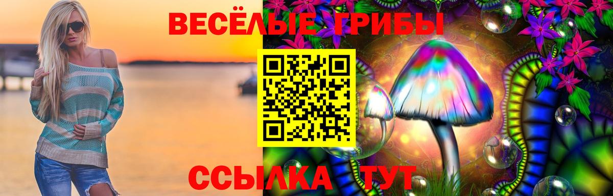 Псилоцибиновые грибы Cubensis  Вход с VPN  Химки  Галлюциногенные грибы ЛСД 